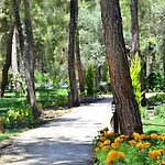 Peninsula Pine Club Boutique &