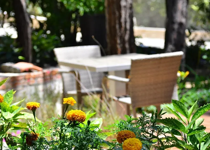 Peninsula Pine Club Boutique &