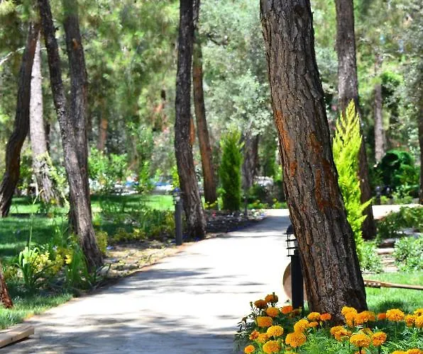 Peninsula Pine Club Boutique &