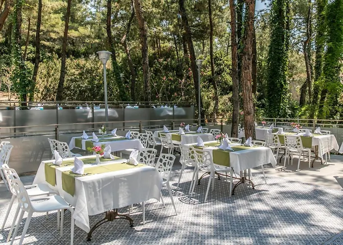 Lejlighedshotel Peninsula Pine Club Boutique & *