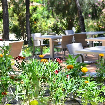 Peninsula Pine Club Boutique & Апарт-отель *