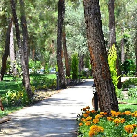 Peninsula Pine Club Boutique &