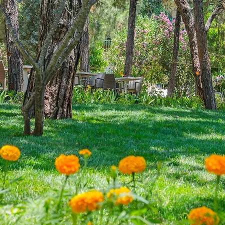 Peninsula Pine Club Boutique & * Κουσάντασι