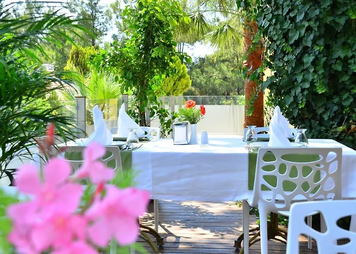 Aparthotel Peninsula Pine Club Boutique & *