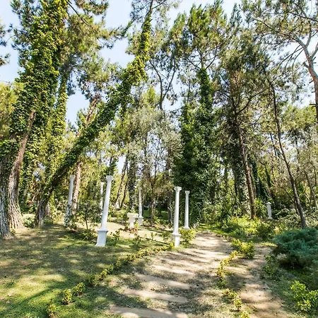 Peninsula Pine Club Boutique & Kusadası